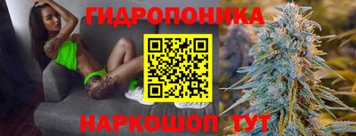 spice Кимры