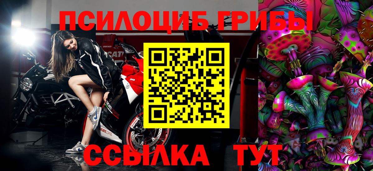 Галлюциногенные грибы Psilocybine cubensis  Вход с VPN  Корсаков 