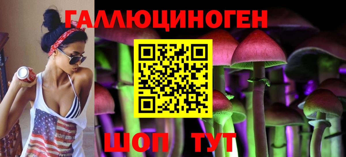 Псилоцибиновые грибы Psilocybe Корсаков